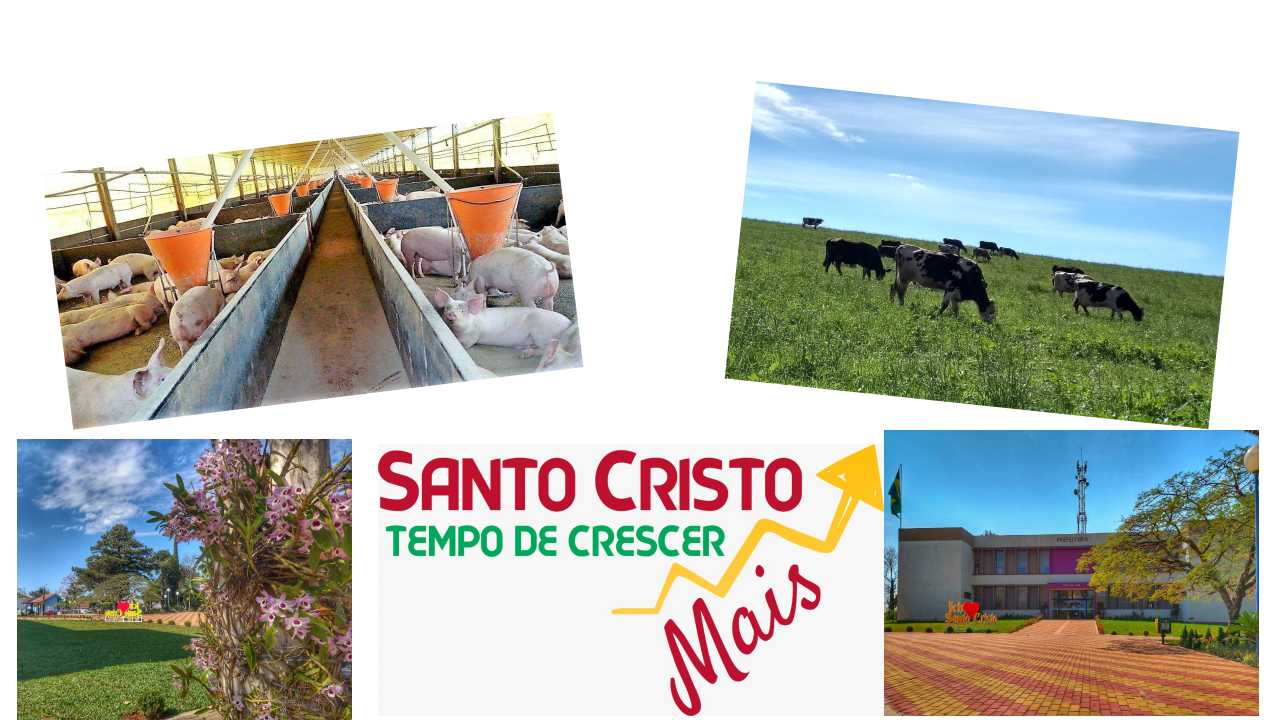 TEMPO DE CRESCER
